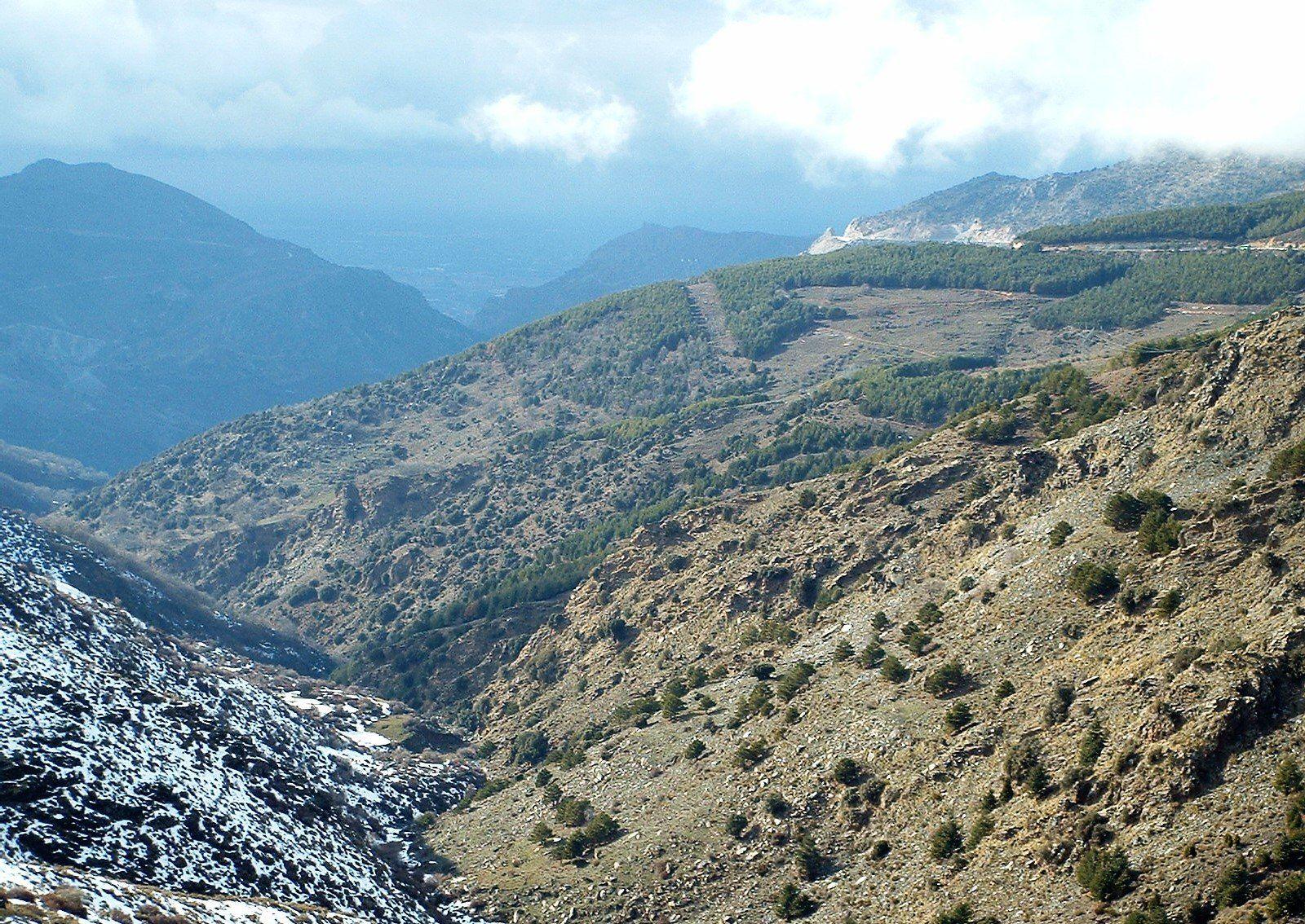 La route et la vue en direction de la Sierra Nevada