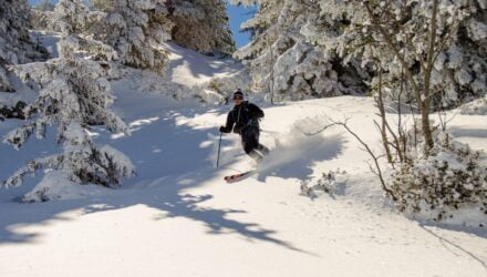 Quels sont les meilleurs skis polyvalents ? - Wiki