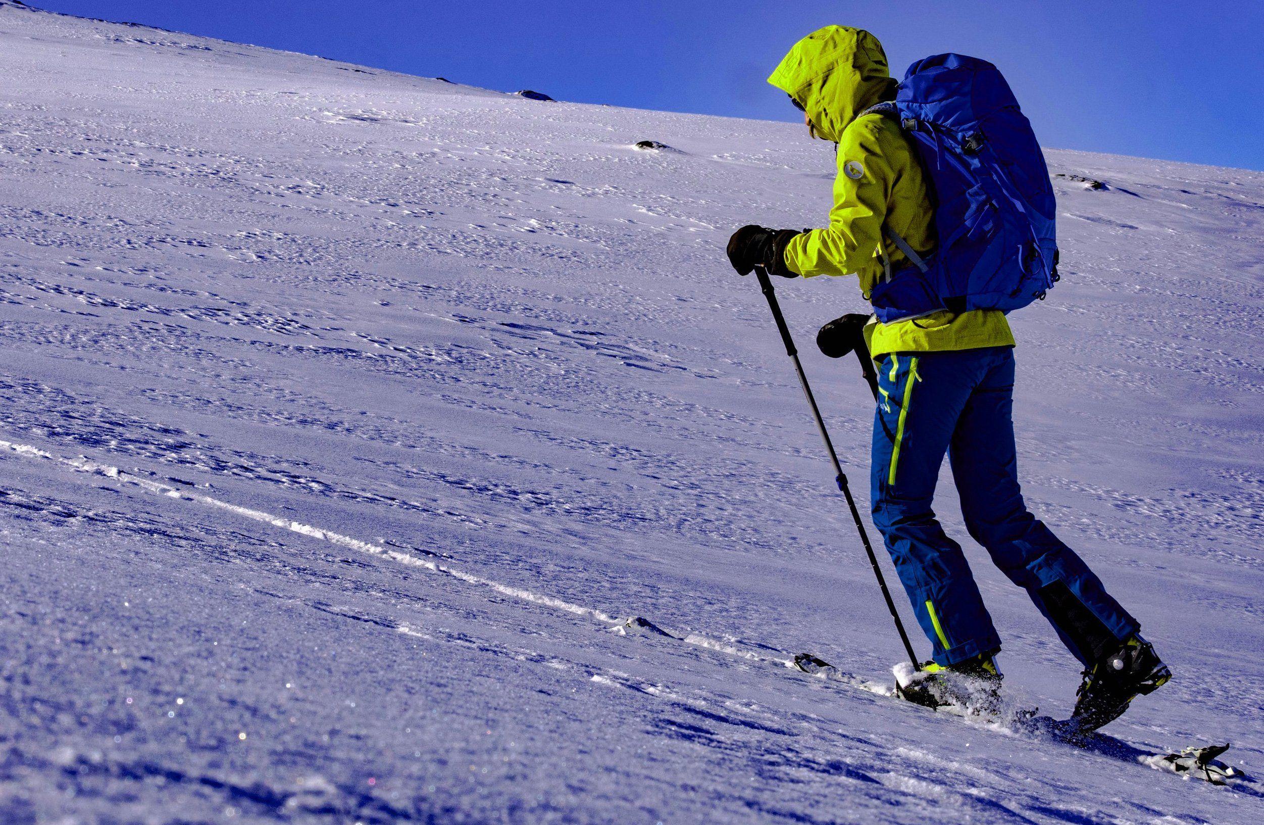 illustration de Différence entre ski de fond et ski de randonnée
