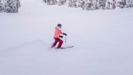 Comment choisir ses skis débutant ? - Wiki