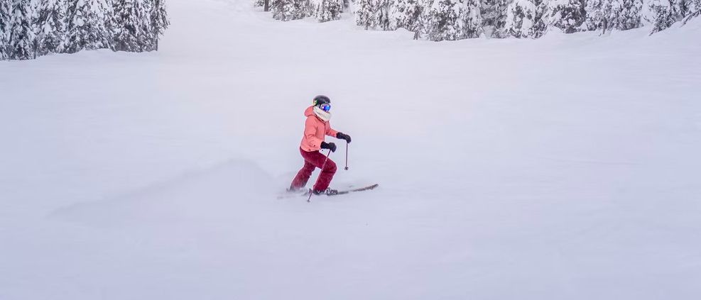 illustration de Comment choisir ses skis débutant ?
