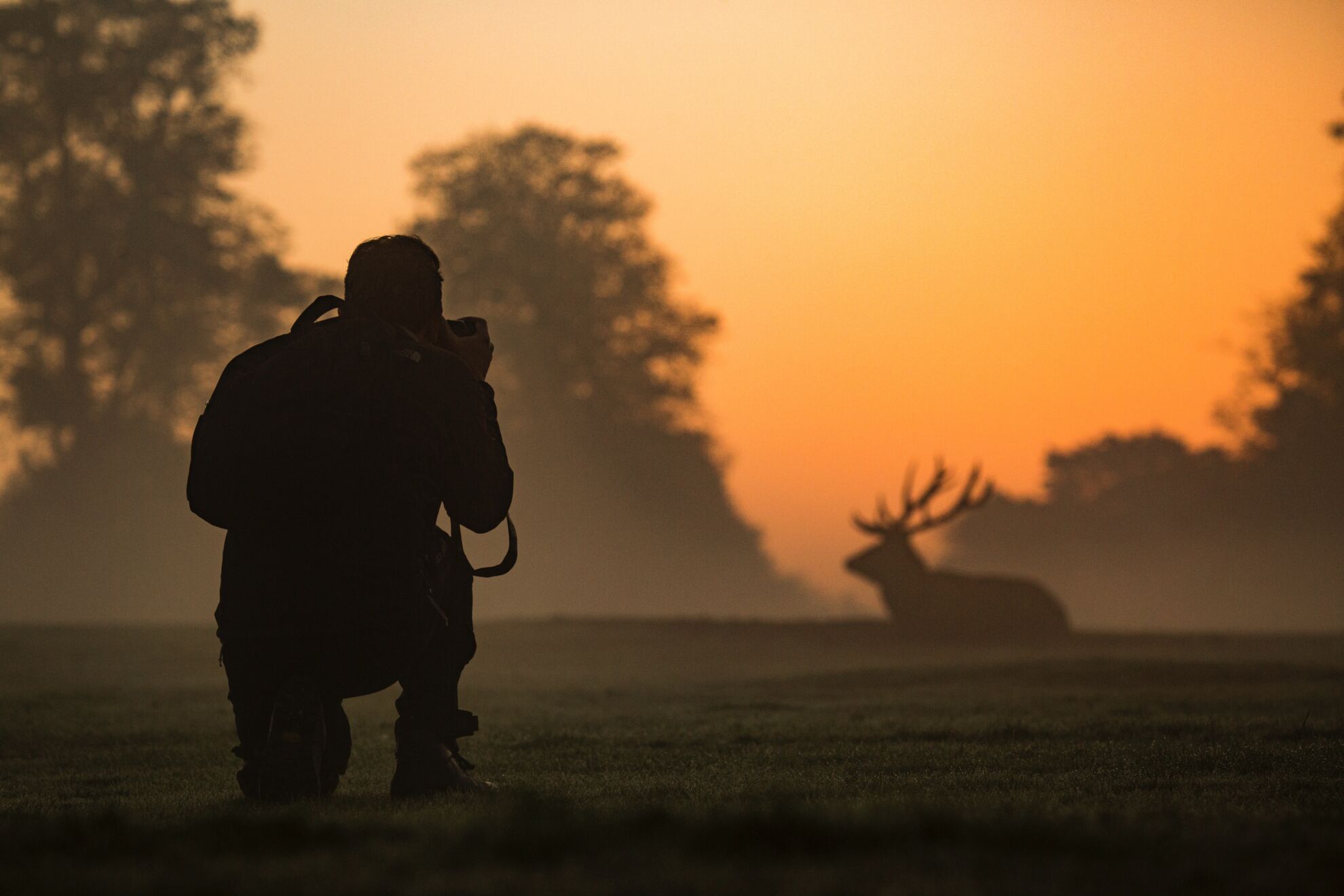 un photographe observe un cerf de loin. à la lumière du lever de soleil.
