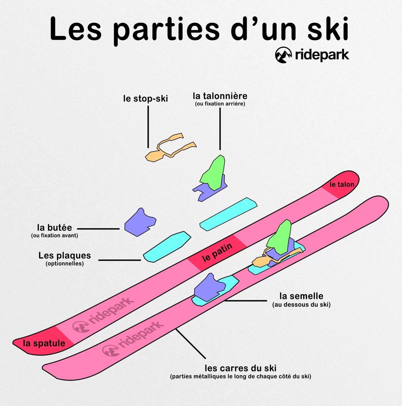 Les différentes parties d'un ski, schéma représentant des skis et décrivant les différentes parties.