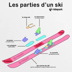 Les différentes parties d’un ski
