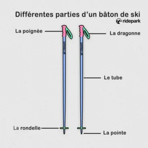 illustration de Les différentes parties d’un bâton de ski