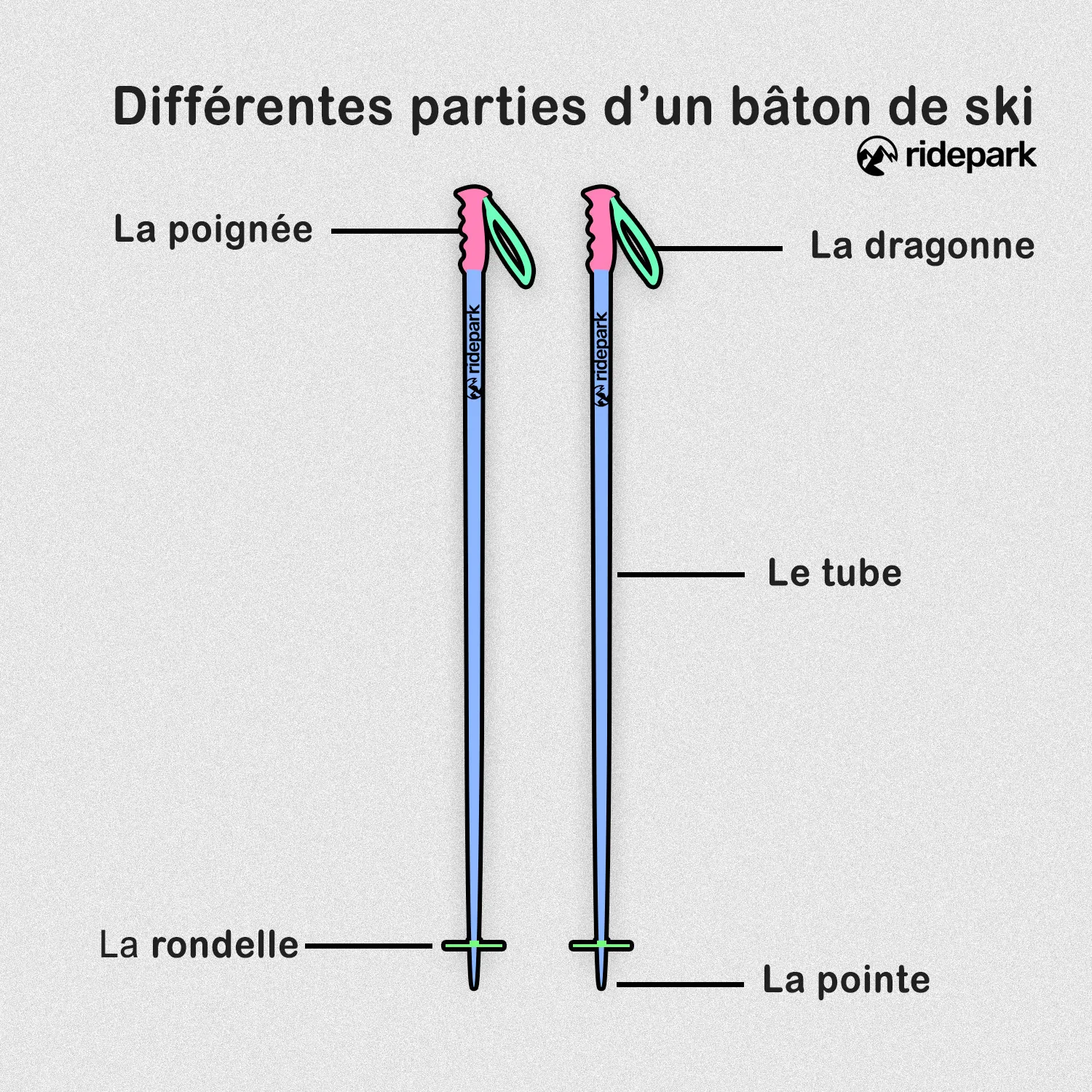 Les différentes parties d’un bâton de ski