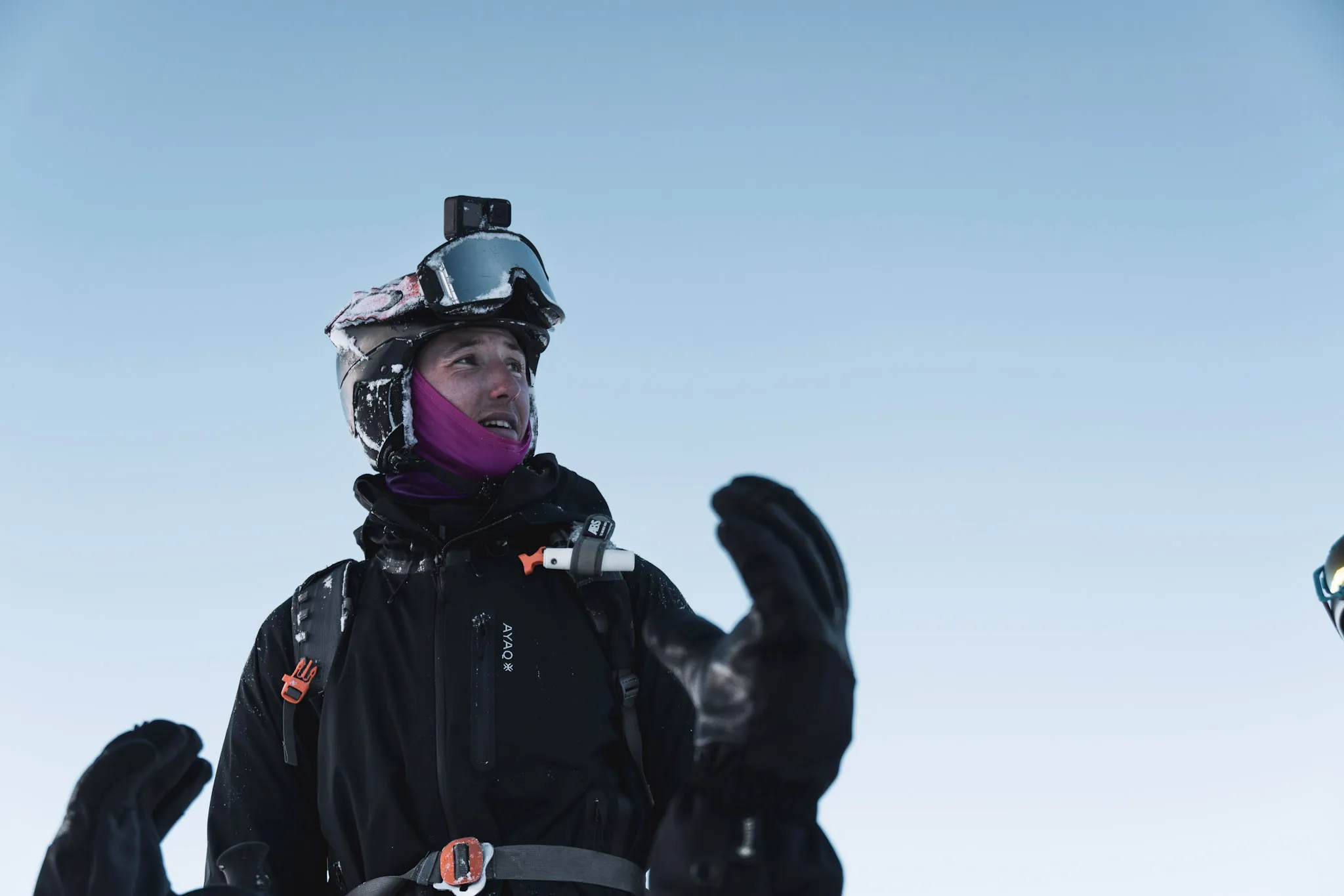 mathis fornasier portrait