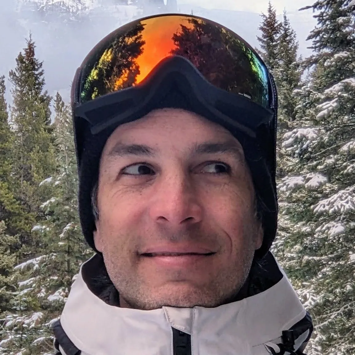 Avatar de l'auteur de l'article